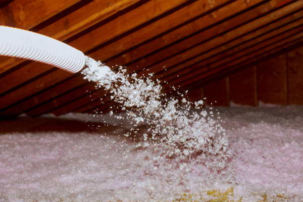 Best Cellulose Insulation  in Sarasota, FL